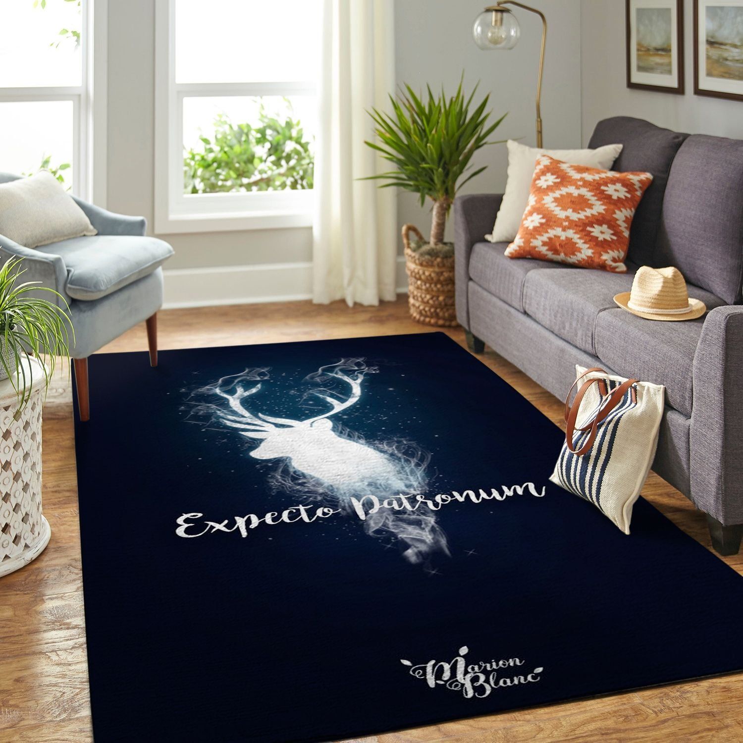 Amazon Harry Potter Living Room Area Rug