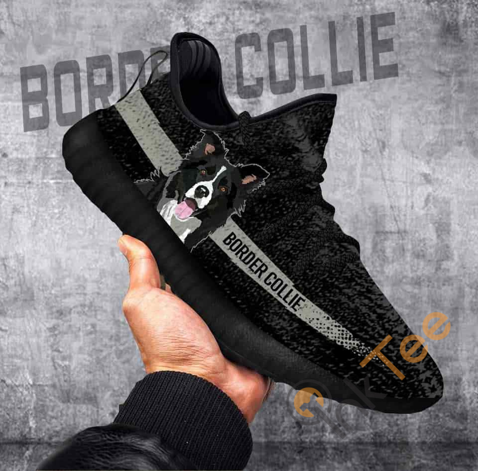 Border Collie Adidas Yeezy Boost