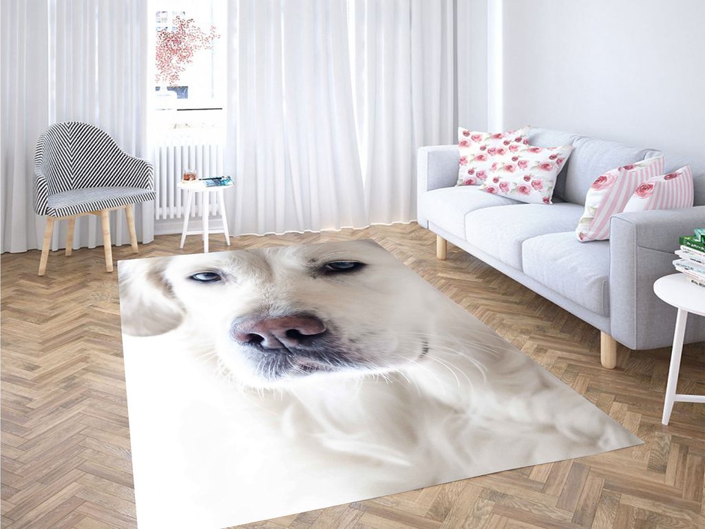 Calm Dog Living Room Modern Carpet Rug 13 Calm Dog Living Room Modern Carpet Rug