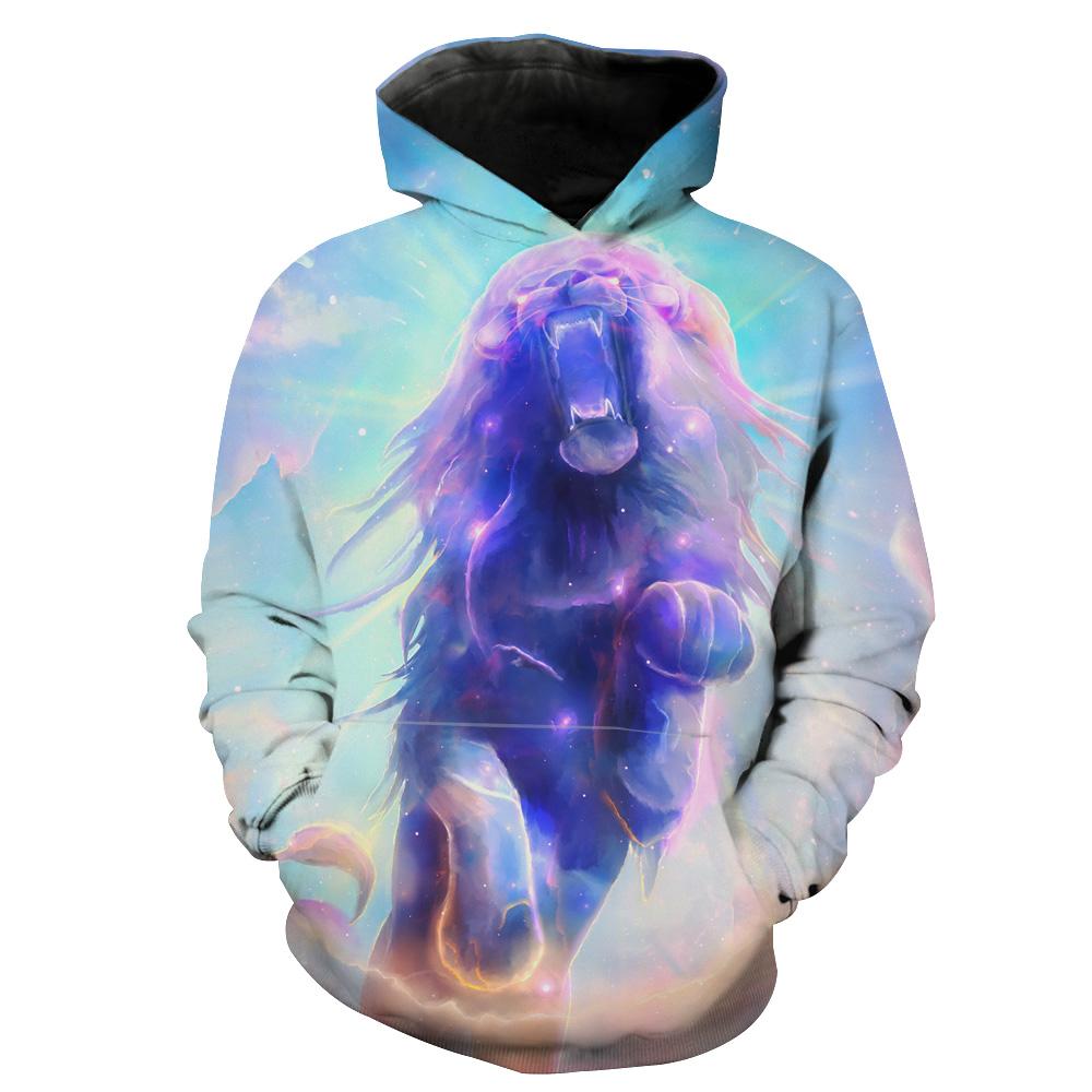 Galaxy Lion Lion Hoodie 3D