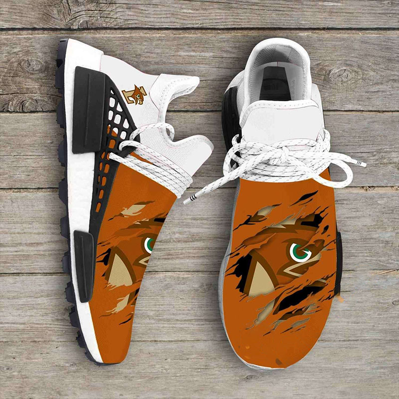 Lehigh Mountain Hawks Ncaa NMD Human Shoes