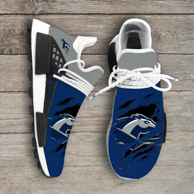 Longwood Lancers NCAA NMD Human Shoes
